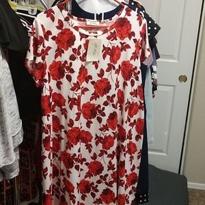 Flaired Tee Dress 2XL